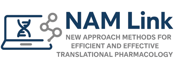 Namlink Logo